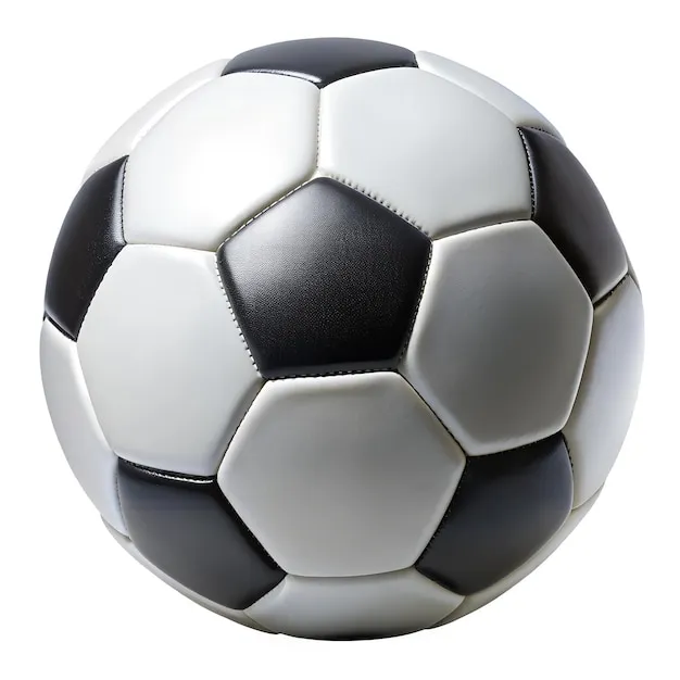 leyu体育官方：权威资讯与APP下载